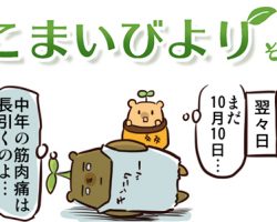 えこまいくまーの４コマ漫画 vol.33