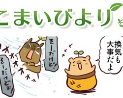 えこまいくまーの４コマ漫画 vol.36