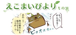 えこまいくまーの４コマ漫画 vol.38