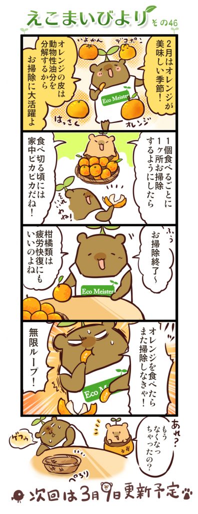 えこまいびより 46