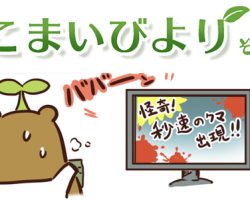 えこまいくまーの４コマ漫画 vol.48