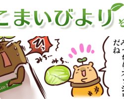 えこまいくまーの４コマ漫画 vol.51