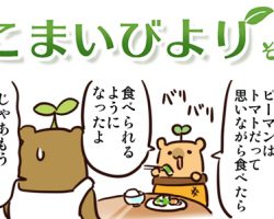 えこまいくまーの４コマ漫画 vol.60