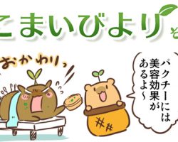 えこまいくまーの４コマ漫画 vol.62